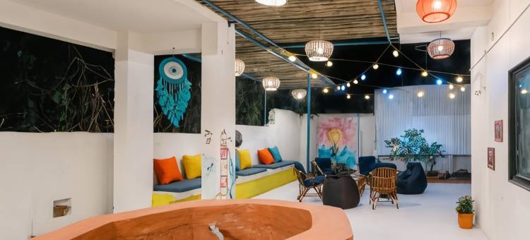 Moustache 达曼(Moustache Daman)图片