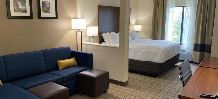 舒适套房酒店(Comfort Inn & Suites)图片