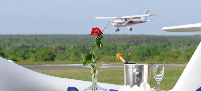 德尔克莱尼汉斯(Der Kleine Hans - Gardels Basics)图片