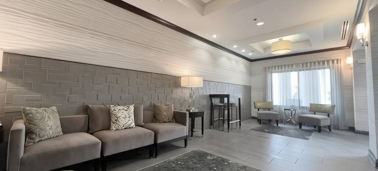 智选假日套房酒店莫顿皮奥里亚区(Holiday Inn Express & Suites Morton Peoria Area)图片