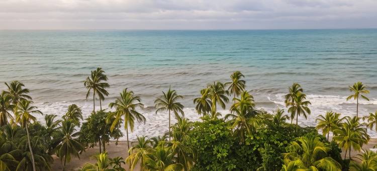 科科努科海滩帕洛米诺(Coconuco Beach Palomino)图片