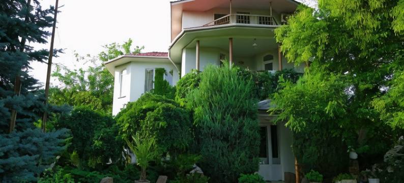 诺德士酒店(Nautilus)图片