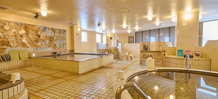 宫崎第一酒店(Miyazaki Daiichi Hotel)图片