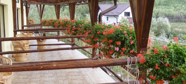 米娅贝尔维迪尔国际酒店(Bran Belvedere International)图片