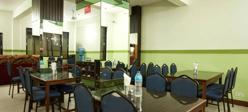 OYO 381 伯舒伯蒂广场酒店(OYO 381 Hotel Pashupati Plaza)图片