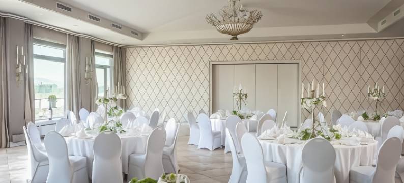 波恩宫亚美隆科尼索夫酒店(Ameron Bonn Hotel Königshof)图片