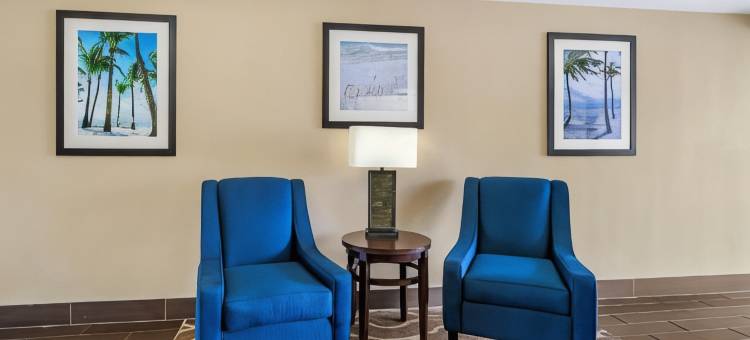舒适酒店及套房-圣彼得堡-克利尔沃特国际机场(Comfort Inn & Suites St Pete - Clearwater International Airport)图片