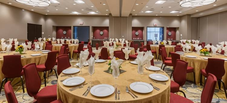 Crowne Plaza 雪兰(Crowne Plaza Shenandoah - Woodlands Area)图片