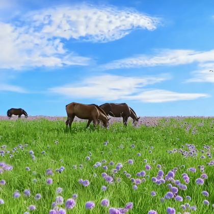 呼和浩特+希拉穆仁草原+响沙湾3日2晚跟团游