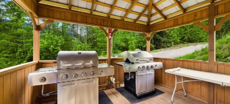 库特尼湖景度假村，贝斯特韦斯特品质精选(Kootenay Lakeview Resort , BW Signature Collection)图片