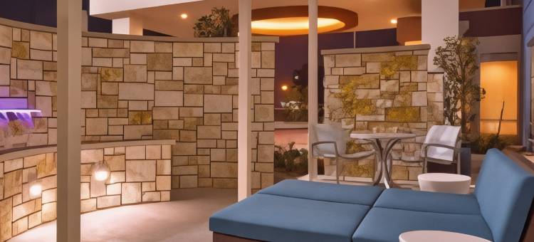 休斯顿i-45北万豪SpringHill酒店(SpringHill Suites Houston I-45 North)图片