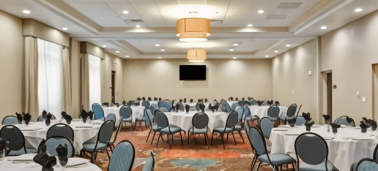 坦帕西北/奥尔兹马欢朋套房酒店(Hampton Inn & Suites Tampa Northwest/Oldsmar)图片