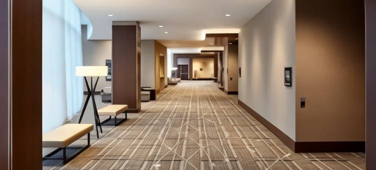 明尼阿波利斯美国购物中心 JW 万豪酒店(JW Marriott Minneapolis Mall of America)图片