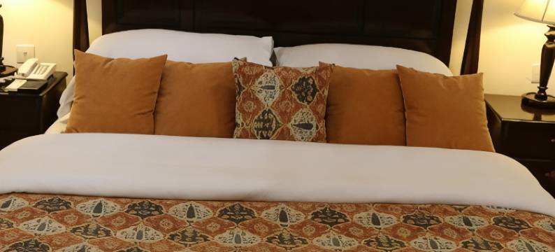 斯瓦特塞丽娜酒店(Swat Serena Hotel)图片