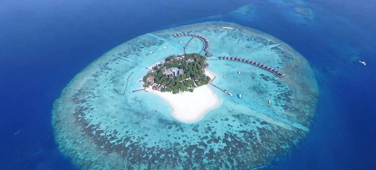 马尔代夫蓝色美人蕉岛水疗度假村(Thulhagiri Island Resort & Spa)图片