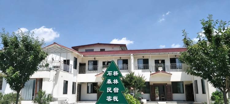 石桥森林民宿图片
