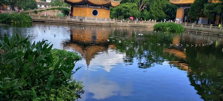 普陀山涵舍民宿(普济寺店)图片