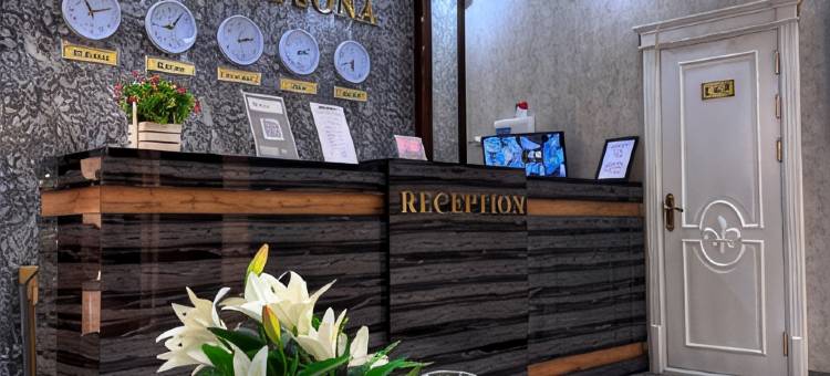 阿夫索纳酒店(HOTEL AFSONA)图片