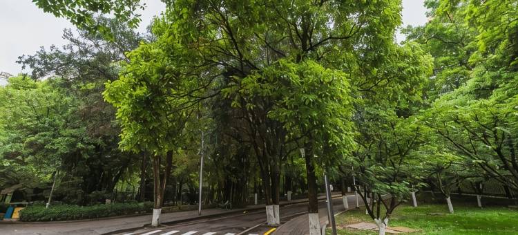 贵州省人大常委会干部培训中心图片
