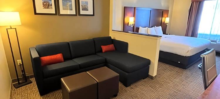 舒适套房酒店-德克萨斯大道(Comfort Suites Texas Ave)图片