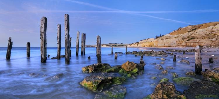 四大港口威伦加旅游公园露营地(BIG4 Port Willunga Tourist Park)图片
