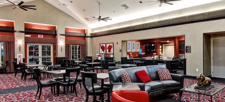 利斯堡Homewood Suites by Hilton(Homewood Suites by Hilton Leesburg)图片