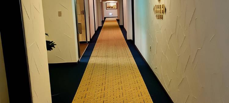 忠州水安堡华美达温德姆酒店(Ramada by Wyndham Hotel Chungju Suanbo)图片