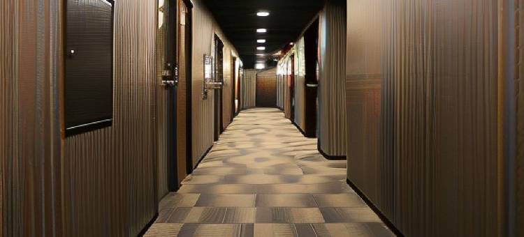 利夫马克斯经济型酒店-横滨鹤见店(HOTEL LiVEMAX BUDGET Yokohama Tsurumi)图片