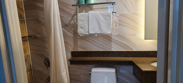 精华酒店在JFK(The Essence Hotel at JFK)图片