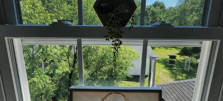 隐藏的旅馆(The Hidden Inn)图片