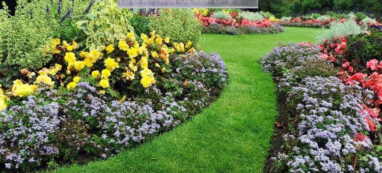 Townhouse Hadapsar图片