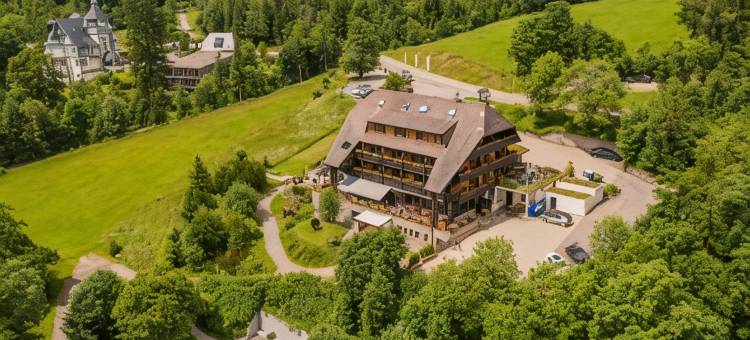 阿莱曼恩霍夫精品酒店(Alemannenhof - Boutique Hotel am Titisee)图片
