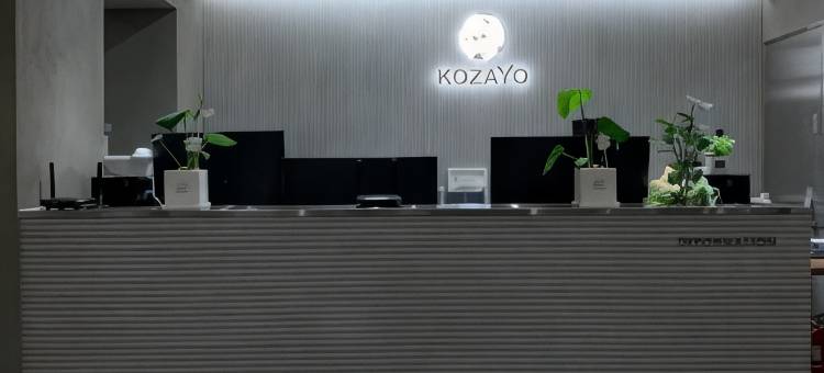 KOZAYO弘大旅舍(Hongdae Hostel KOZAYO)图片