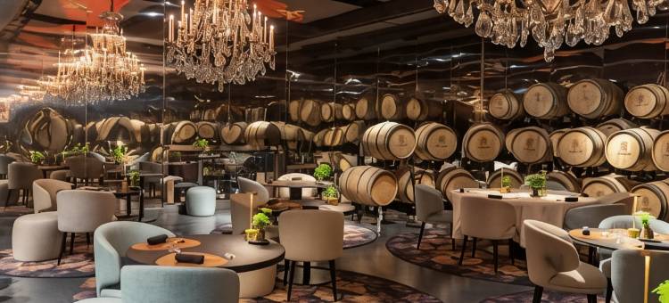 高迪城堡酒店(Château de la Gaude)图片