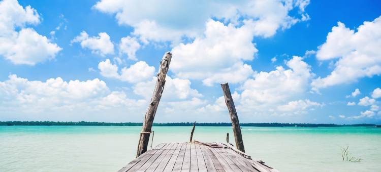 吉胆岛海狮酒店(Sea Lion Hotel @ Pulau Ketam)图片