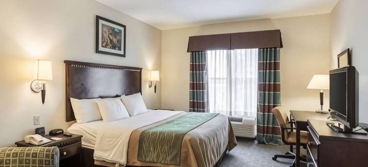 品质酒店丽晶(Quality Inn Donaldsonville - Gonzales)图片