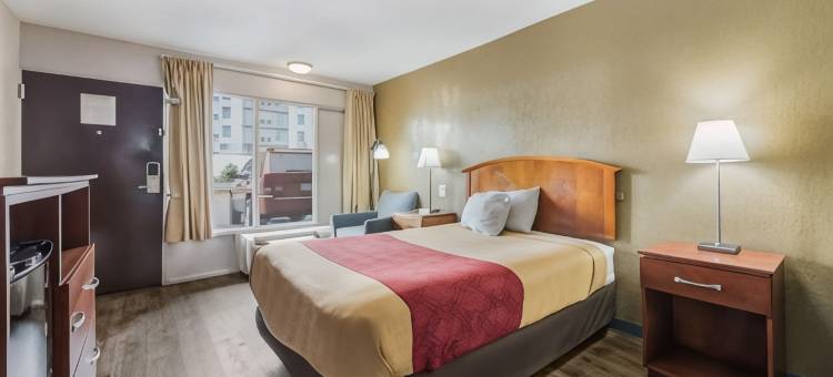 伊克诺旅馆(Econo Lodge Salisbury)图片