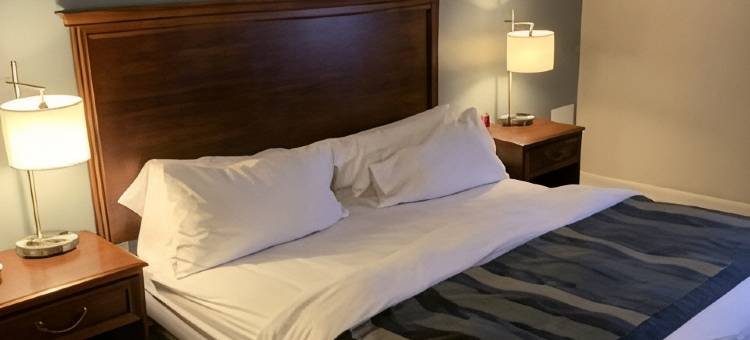 布赖顿蔚景温德姆酒店(Wingate by Wyndham Brighton)图片