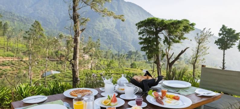 茶趣工坊 · 黛玛系列(Tea and Experience Factory - Thema Collection)图片