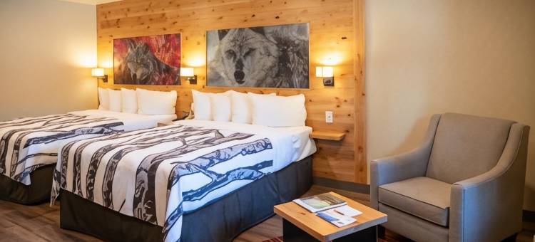 班福洛基山度假村(Banff Rocky Mountain Resort)图片