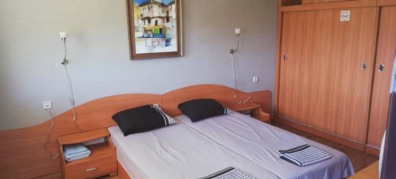 德尔菲尼旅馆(Guest House Delphini)图片