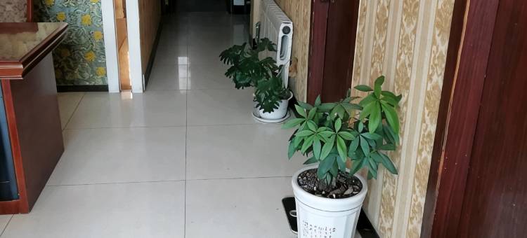 莘县三利宾馆图片