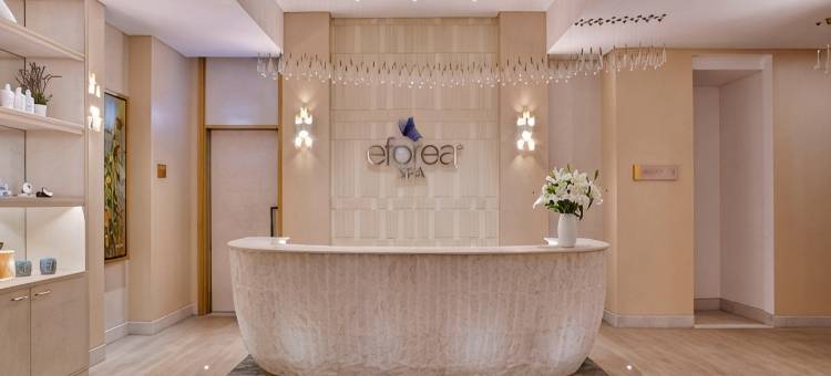 开罗尼罗河希尔顿酒店-马阿迪(Hilton Cairo Nile Maadi)图片