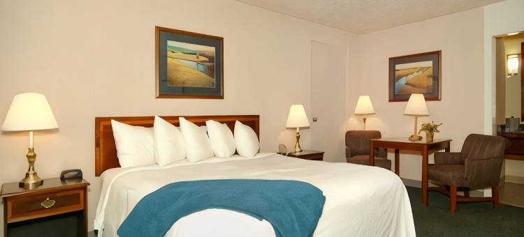 伯利贝斯特韦斯特优质酒店及会议中心(Best Western Plus Burley Inn  Convention Center)图片