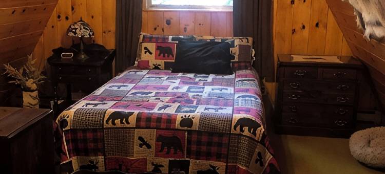 阿迪朗达克山脉温馨,僻静滨水山林小屋. 宠物友好(Cozy,secluded waterfront lodge nestled in the Adirondack Mountains. Pet friendly)图片