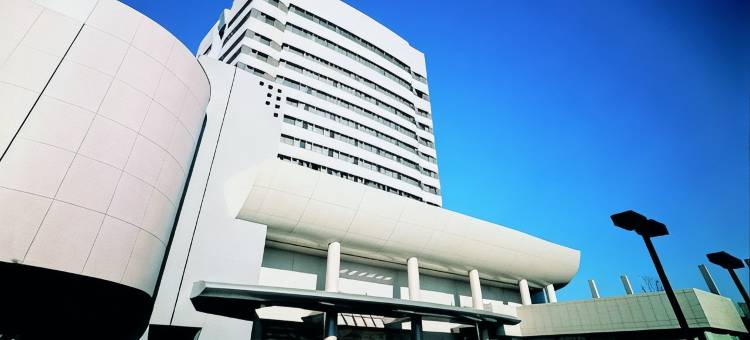 甲府纪念日酒店(Kofu Kinenbi Hotel)图片