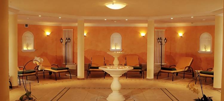 祖姆斯汀环形酒店(Hotel Zum Stein Wellness & Genuss Resort)图片