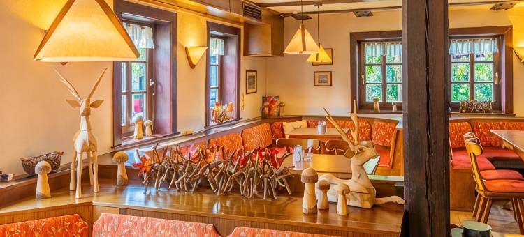 希尔施高登纳酒店(Hotel Goldener Hirsch)图片