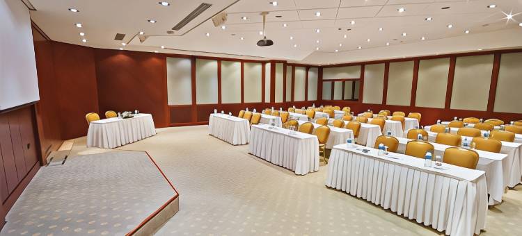 伊斯坦布尔塔克西姆精英世界舒适酒店(Elite World Comfy Istanbul Taksim)图片