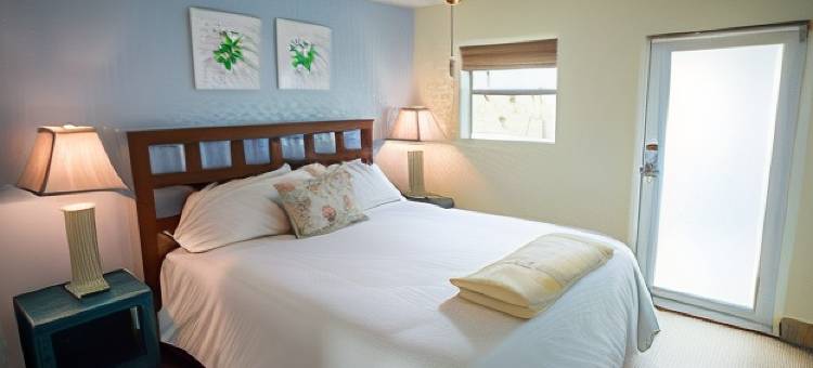 桑德克海滩公寓式酒店(Sun Dek Beach House)图片